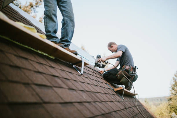 Best Roof Gutter Cleaning  in Mill City, OR